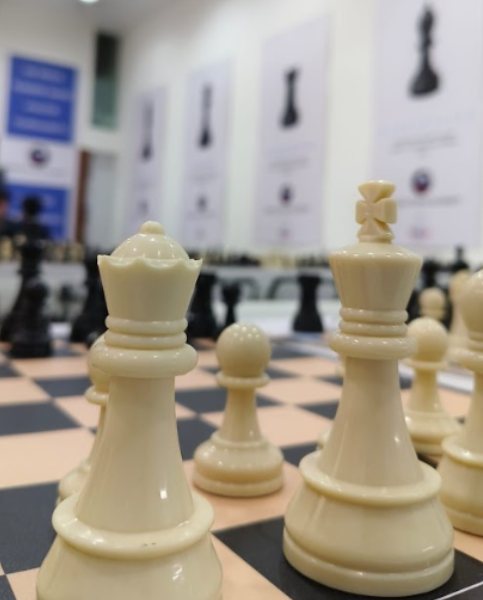 Mumbai Chess Centre 25 year of experience